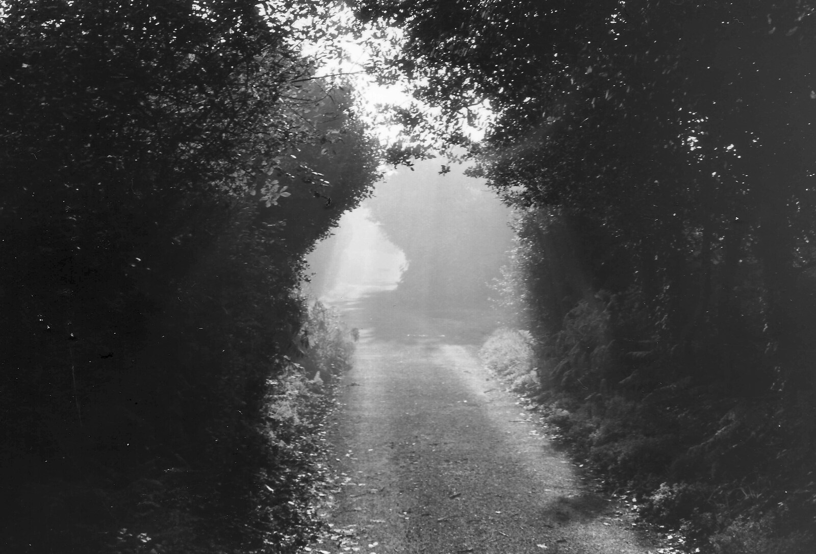 A misty morning on Meadow Way, on the way to the station from Learning Black-and-White Photography, Brockenhurst College, Hampshire - 10th March 1985
