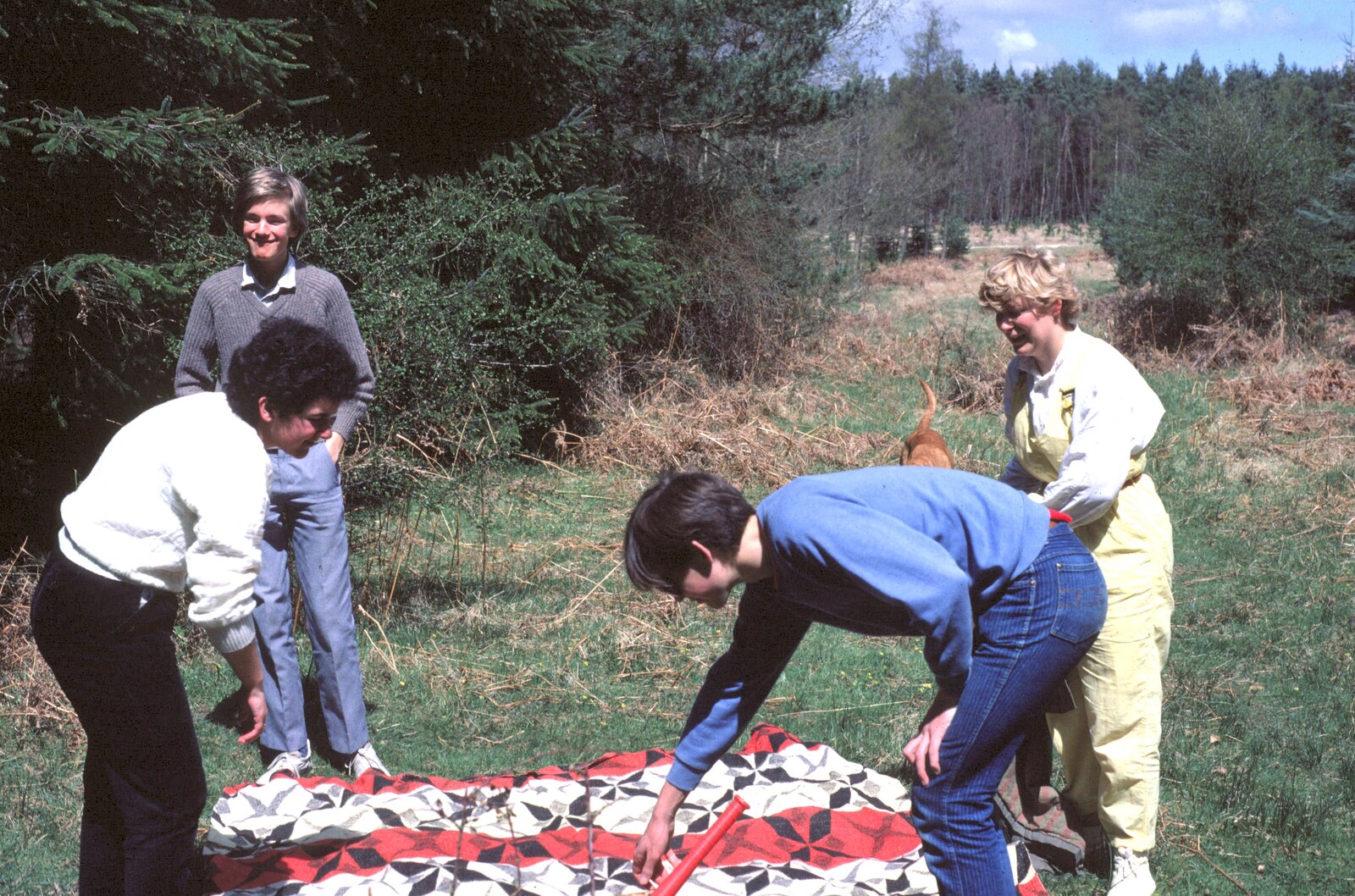 We go for a picnic somewhere in the New Forest from Nosher's 18th pre-Birthday and College Miscellany, Sway and Brockenhurst - 22nd May 1985