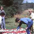 1985 We go for a picnic somewhere in the New Forest