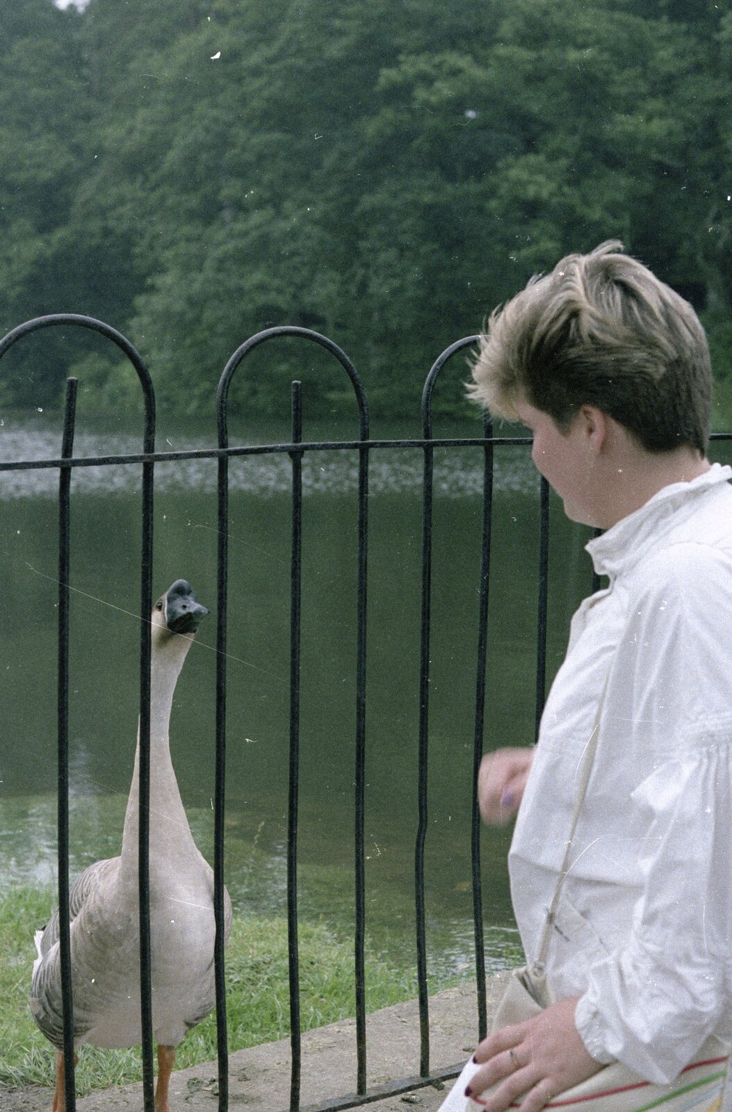 Carol looks at a goose from Brockenhurst College Exams and Miscellany, Barton on Sea, Hampshire - 10th June 1985