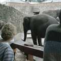 1985 Carol, Anna and Phil look at elephants