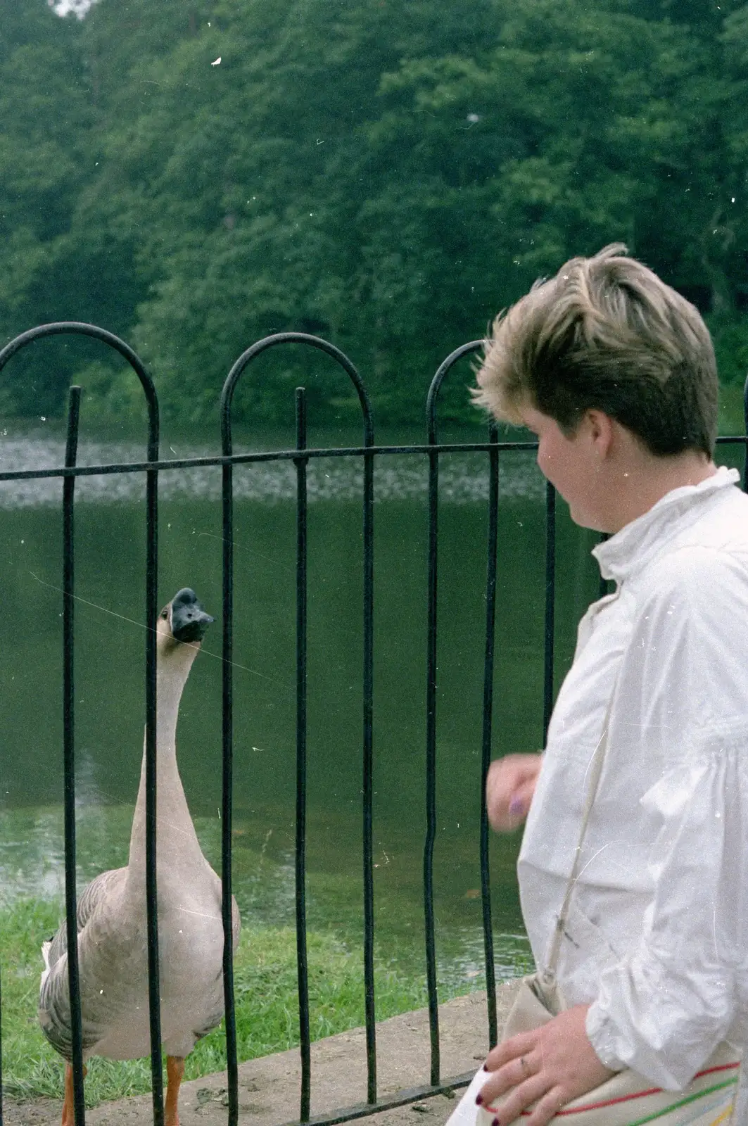 Carol looks at a goose, from Phil's Birthday and Newlands Camping, Charmouth and Hordle, Dorset and Hampshire - 7th August 1985
