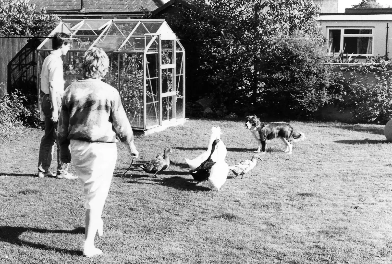 Phil, Anna and some ducks, from Phil's Birthday and Newlands Camping, Charmouth and Hordle, Dorset and Hampshire - 7th August 1985