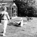 Phil, Anna and some ducks, Phil's Birthday and Newlands Camping, Charmouth and Hordle, Dorset and Hampshire - 7th August 1985