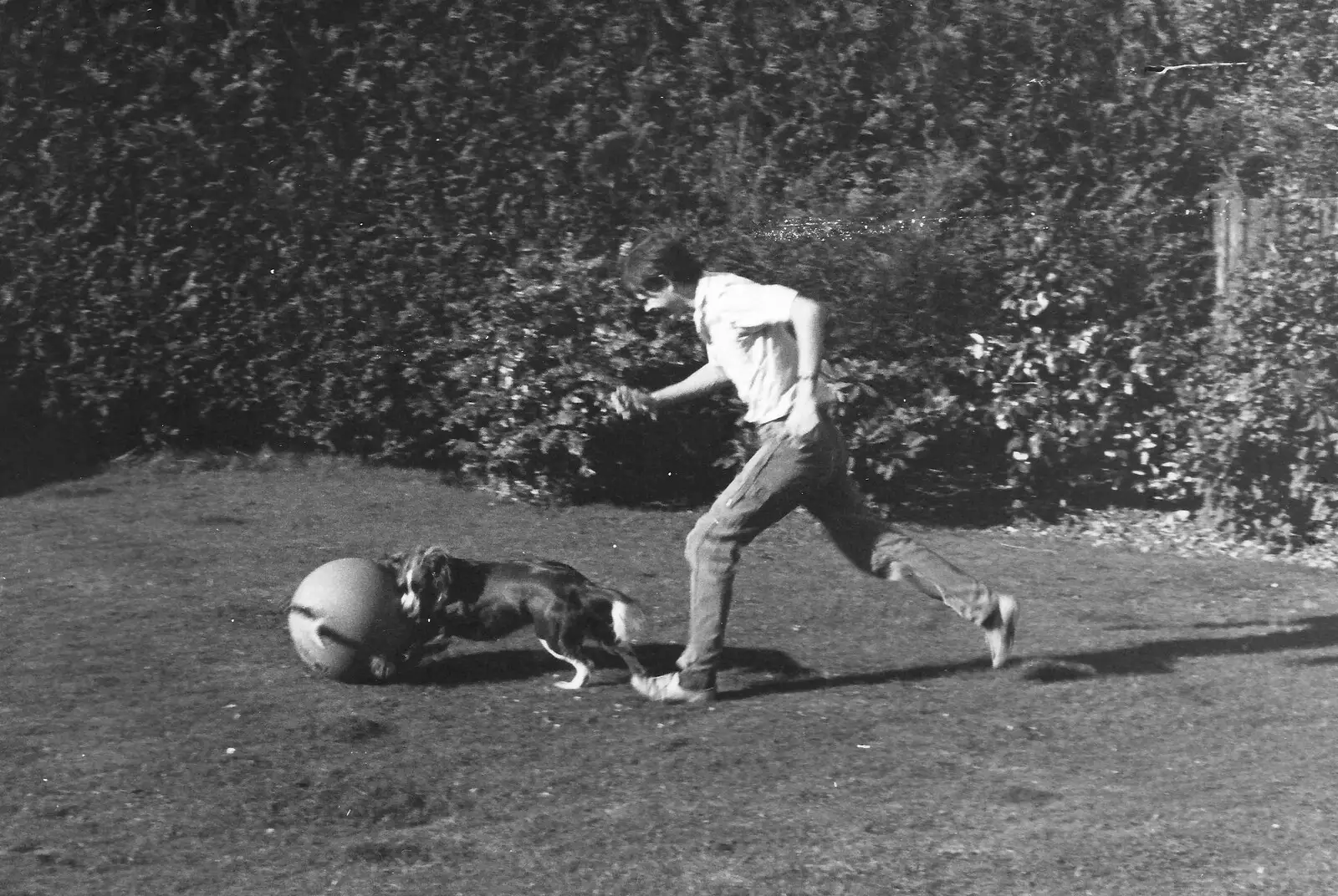 Phil chases Sally the dog around the garden, from Phil's Birthday and Newlands Camping, Charmouth and Hordle, Dorset and Hampshire - 7th August 1985