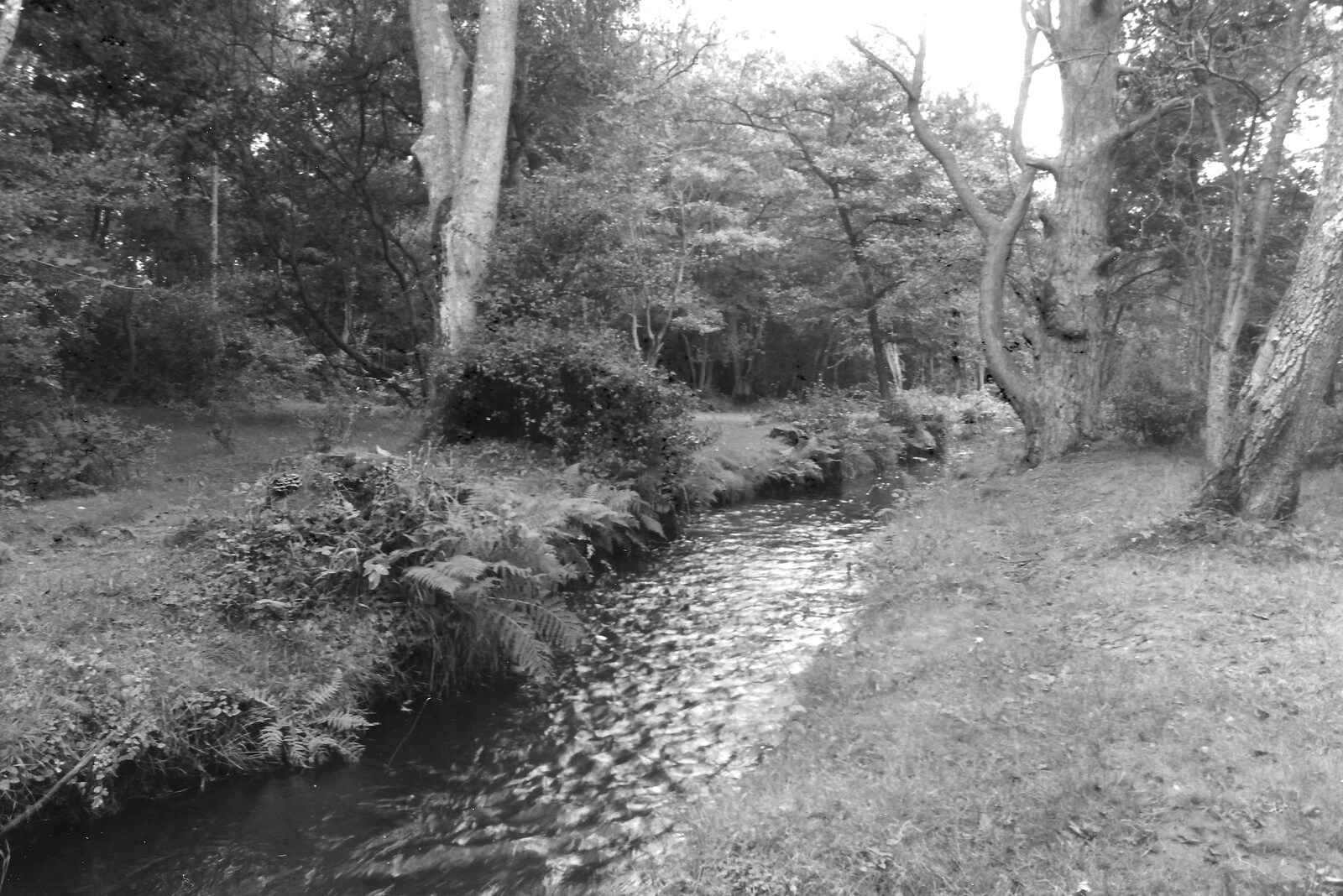 The river at Wootton Bridge in the New Forest from The New Forest Marathon and Other Randomness, New Milton, Hampshire - 15th September 1985