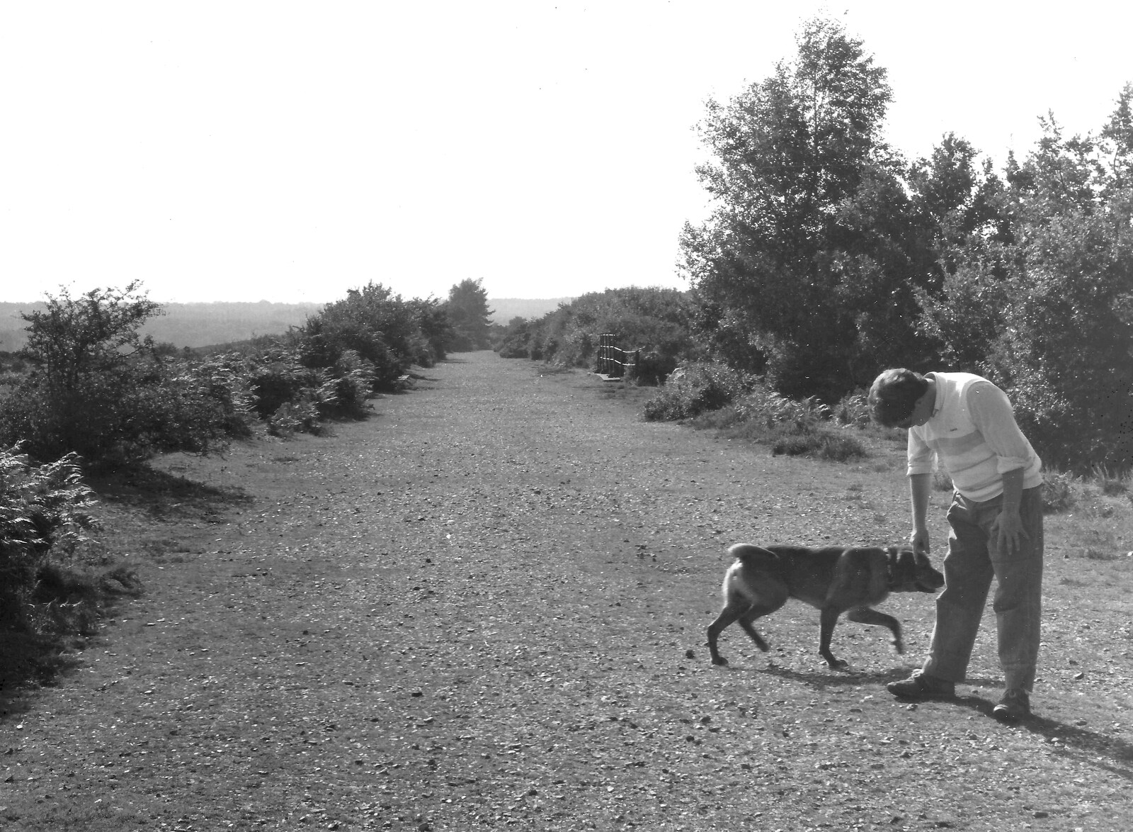 Geordie and Hamish on an old railway track in the forest from The New Forest Marathon and Other Randomness, New Milton, Hampshire - 15th September 1985