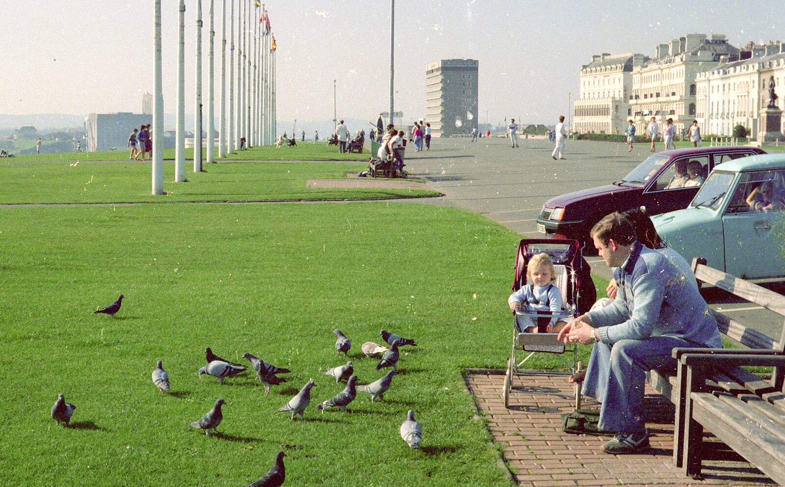 Some pigeon action down on Plymouth Hoe from Uni: First Weeks At Polytechnic, Umbrellas and a Visit From Liz, Plymouth - 26th September 1985