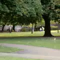 Beaumont Park, Uni: A Central Park Fair and City Street Life, Plymouth - 20th October 1985