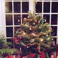 The Christmas Tree at Ford Cottage, Ford Cottage Pre-Christmas, Barton on Sea, Hampshire - 19th December 1985