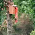 A sparrow on the bird feeder, Christmas in Macclesfield and Wetherby, Cheshire  and Yorkshire - 25th December 1985