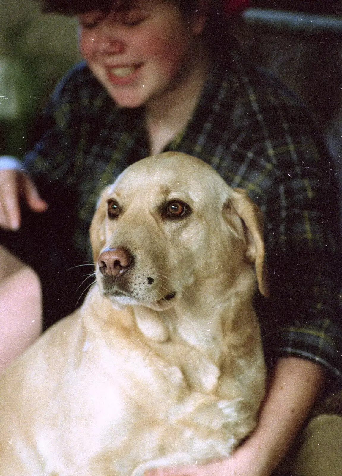 Sis with Brandy, from Christmas in Macclesfield and Wetherby, Cheshire  and Yorkshire - 25th December 1985