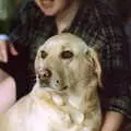 Sis with Brandy, Christmas in Macclesfield and Wetherby, Cheshire  and Yorkshire - 25th December 1985