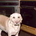 Brandy lurks in the kitchen, Christmas in Macclesfield and Wetherby, Cheshire  and Yorkshire - 25th December 1985