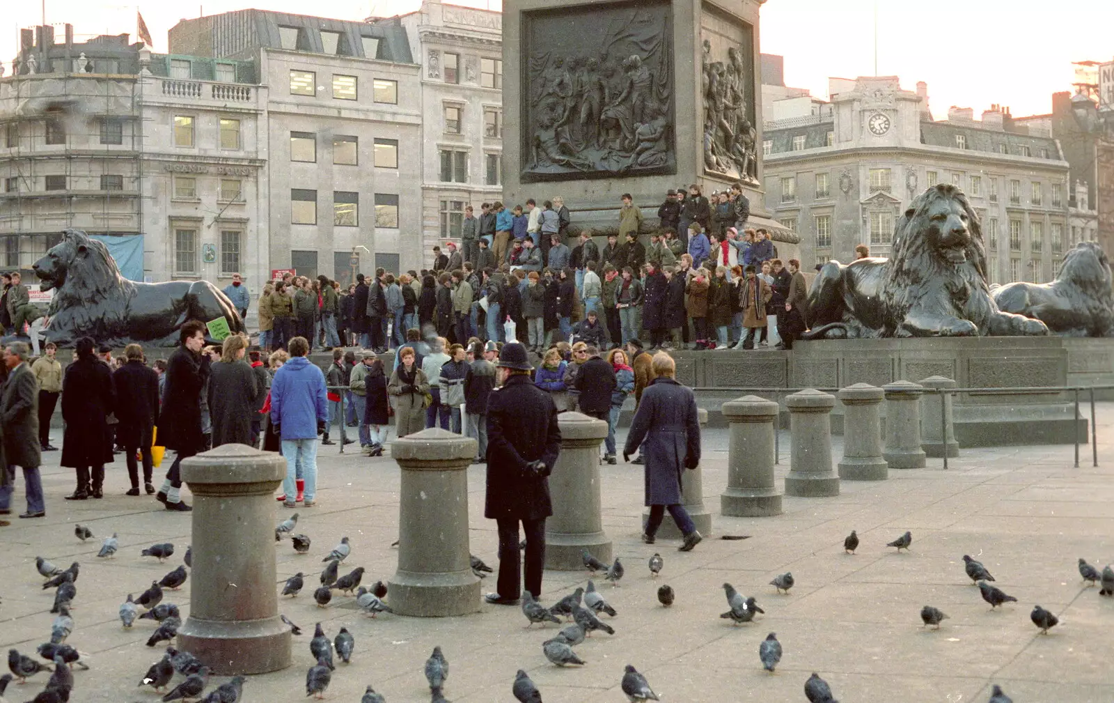 Students and pigeons, from Uni: No Chance Fowler! A student Demonstration, London - 26th February 1986