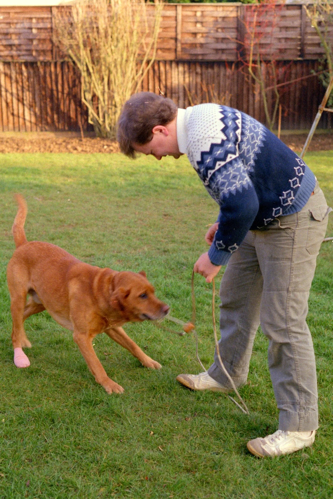 Hamish messes around with Geordie the dog, from Uni: The End of Term and Whitsand Bay, Plymouth and New Milton - 21st March 1986