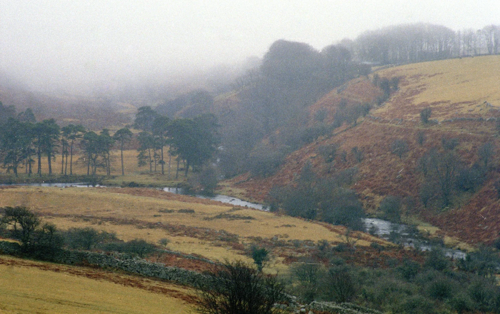 A misty Dartmoor river valley, from Uni: The End of Term and Whitsand Bay, Plymouth and New Milton - 21st March 1986