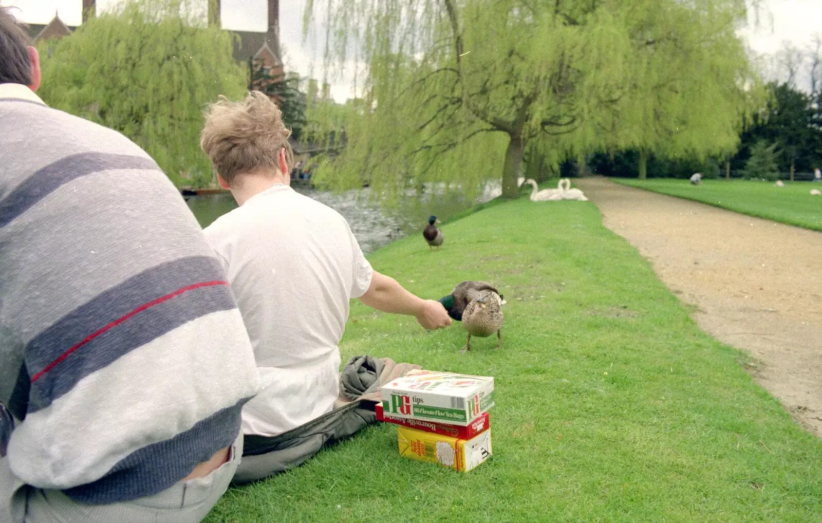 Anna feeds the ducks, from A Trip to Trinity College, Cambridge - 23rd March 1986