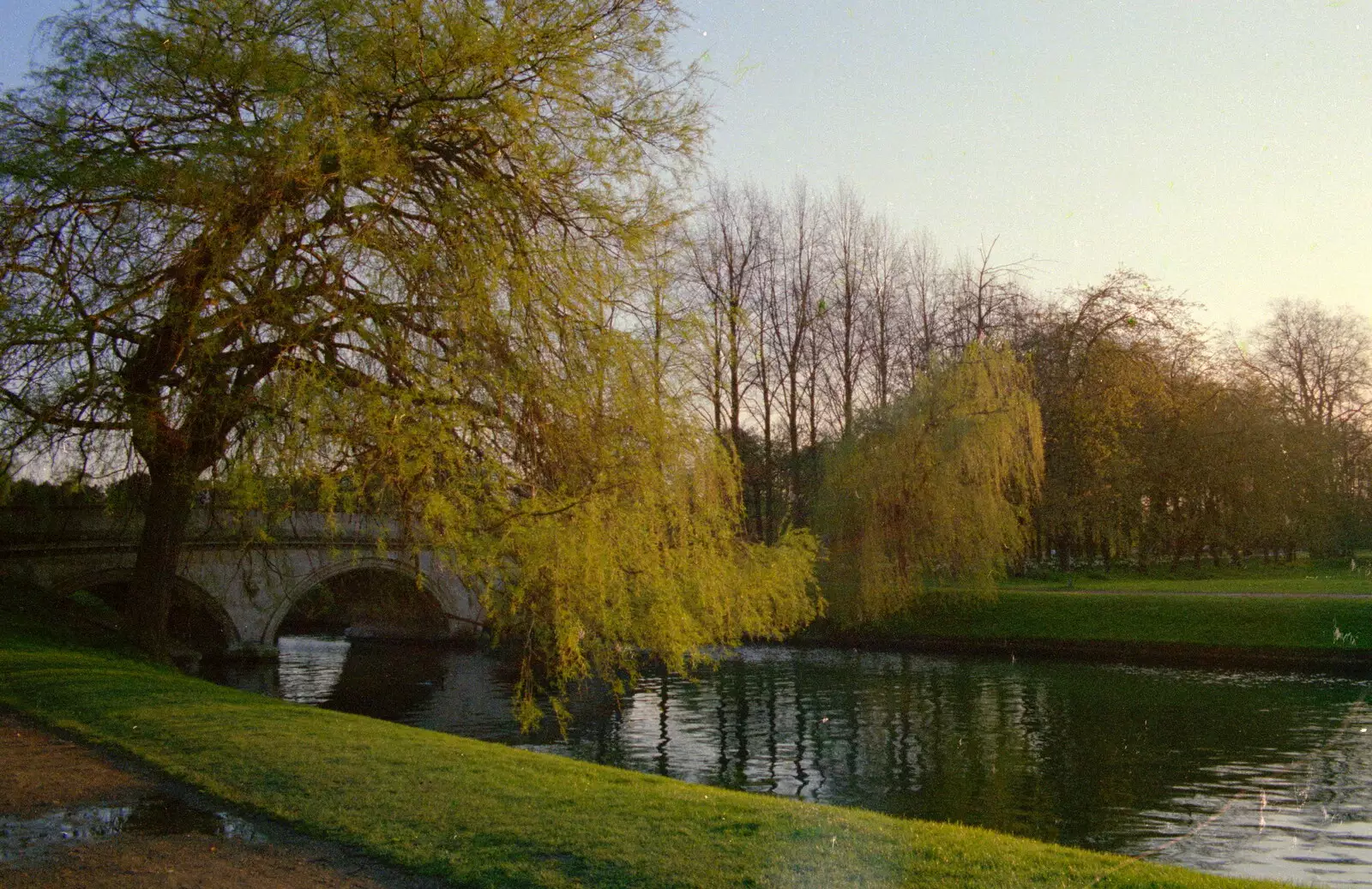 The Cam near the back of Trinity, from A Trip to Trinity College, Cambridge - 23rd March 1986