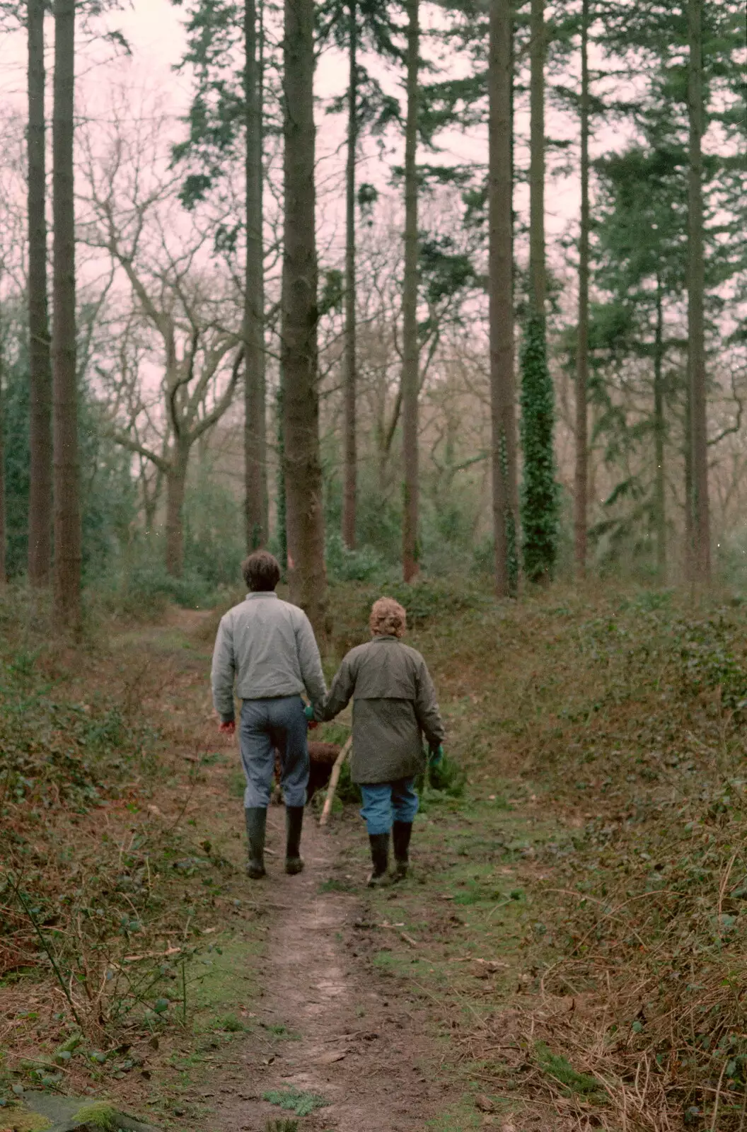 Anna and Phil in the forest, from A CB Reunion and a Trip to the Beach, Barton on Sea, Hampshire - 4th April 1986