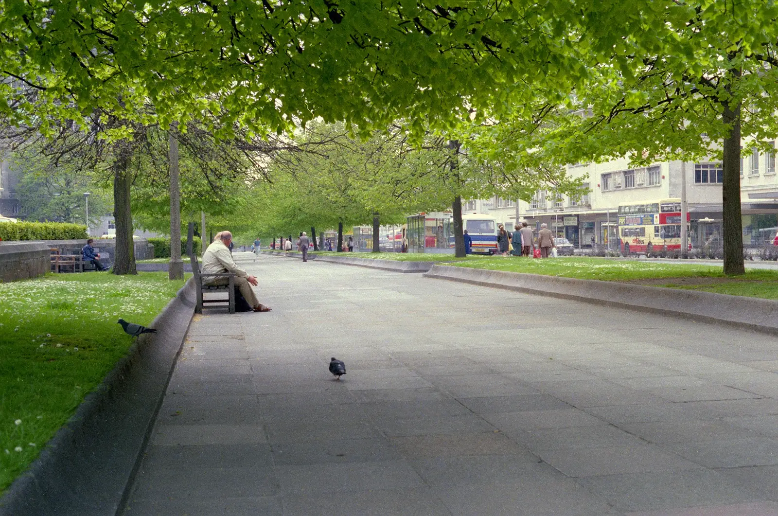 On Royal Parade, from Uni: A Tutorial Miscellany and Cromwell Road, Plymouth Polytechnic, Devon - 14th May 1986