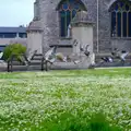Pigeons take flight, Uni: A Tutorial Miscellany and Cromwell Road, Plymouth Polytechnic, Devon - 14th May 1986
