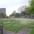 The little patch of green by Whimple Street, Uni: A Tutorial Miscellany and Cromwell Road, Plymouth Polytechnic, Devon - 14th May 1986