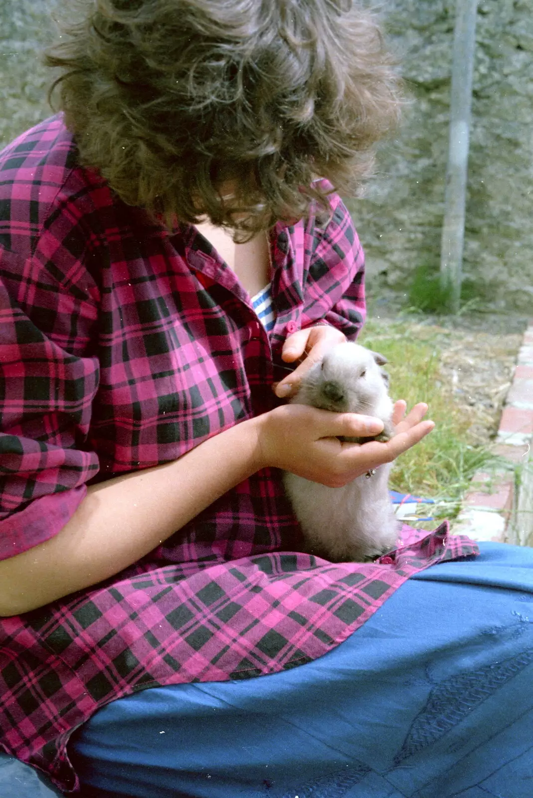 Barbara cuddles Friday the rabbit, from Uni: Neath Road and a JSV Happy Hour, Plymouth - 15th May 1986