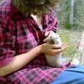 Barbara cuddles Friday the rabbit, Uni: Neath Road and a JSV Happy Hour, Plymouth - 15th May 1986