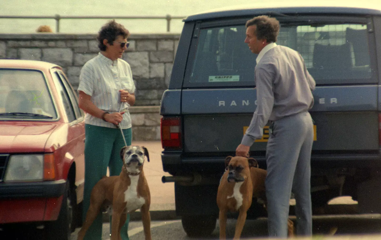 A couple of bulldogs meet up on the Hoe, from Uni: Phil and Anna Visit Nosher, Plymouth, Devon - 18th May 1986