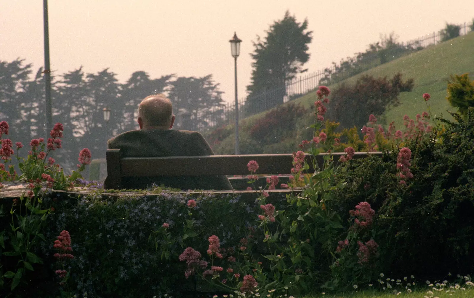 Old man on a bench, from Uni: Phil and Anna Visit Nosher, Plymouth, Devon - 18th May 1986