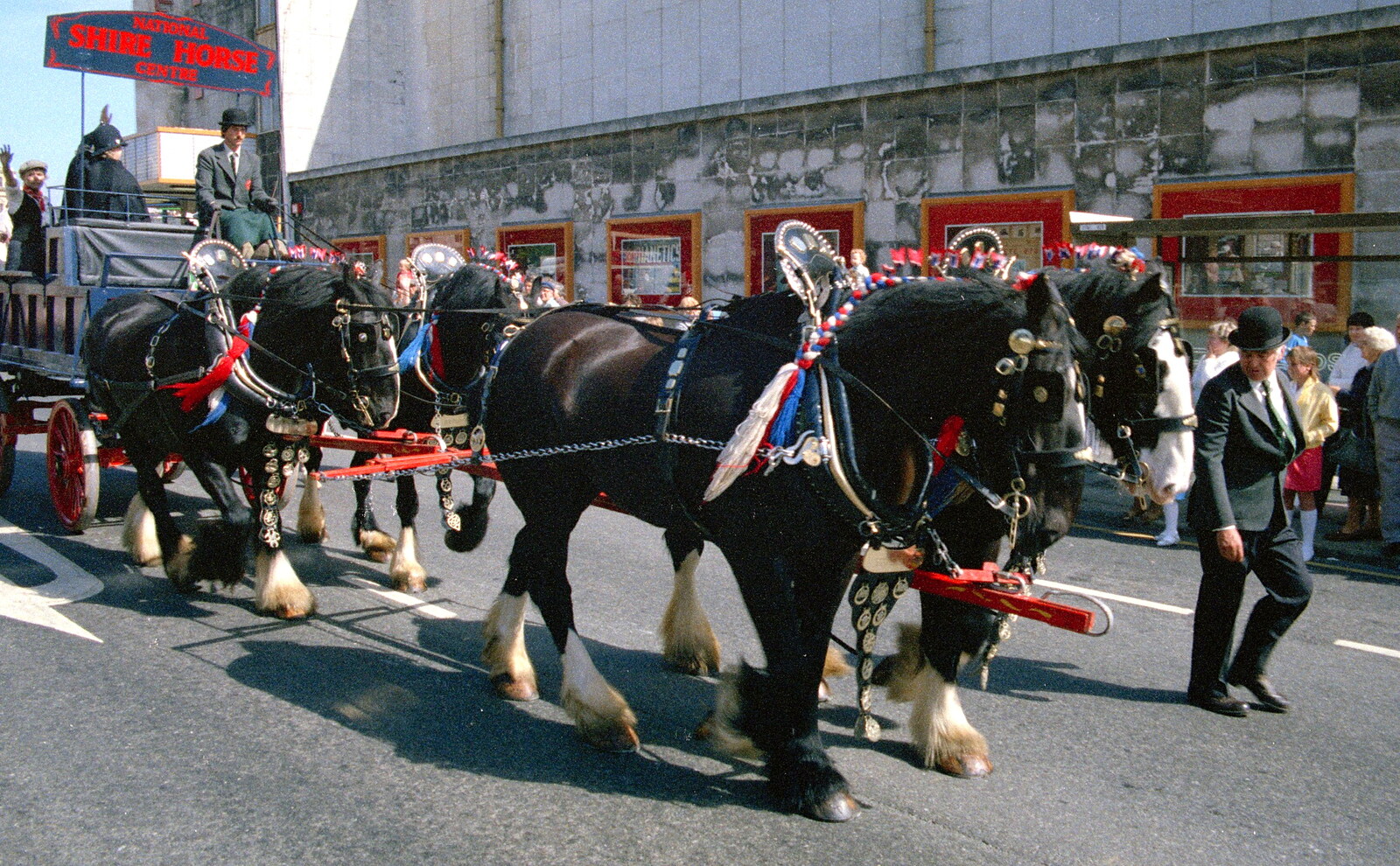 The National Shire Horse Centre's float, with four in hand from Uni: The Lord Mayor's Procession, Plymouth, Devon - 21st May 1986