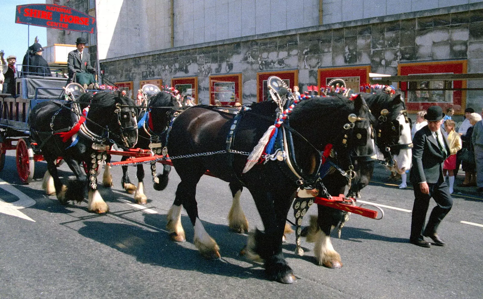 The National Shire Horse Centre's float, with four in hand, from Uni: The Lord Mayor's Procession, Plymouth, Devon - 21st May 1986