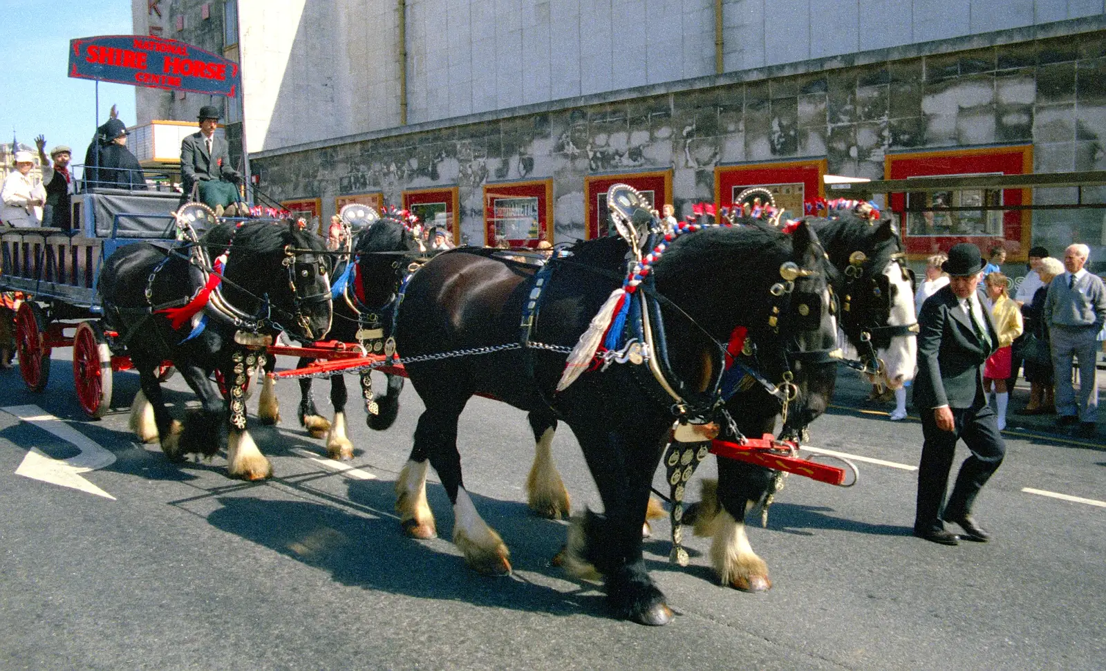The National Shire Horse Centre's float, with four in hand, from Uni: The Lord Mayor's Procession, Plymouth, Devon - 24th May 1986