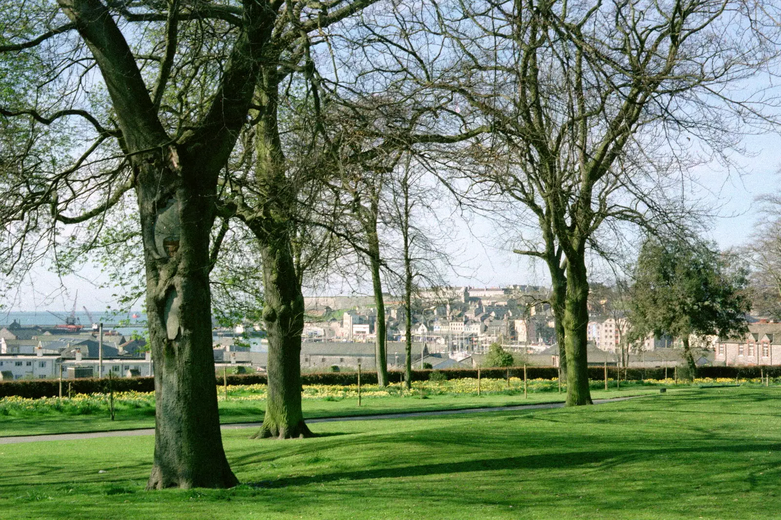 A view of the Barbican from Beaumont Park, from Uni: A Tutorial Miscellany and Cromwell Road, Plymouth Polytechnic, Devon - 2nd June 1986