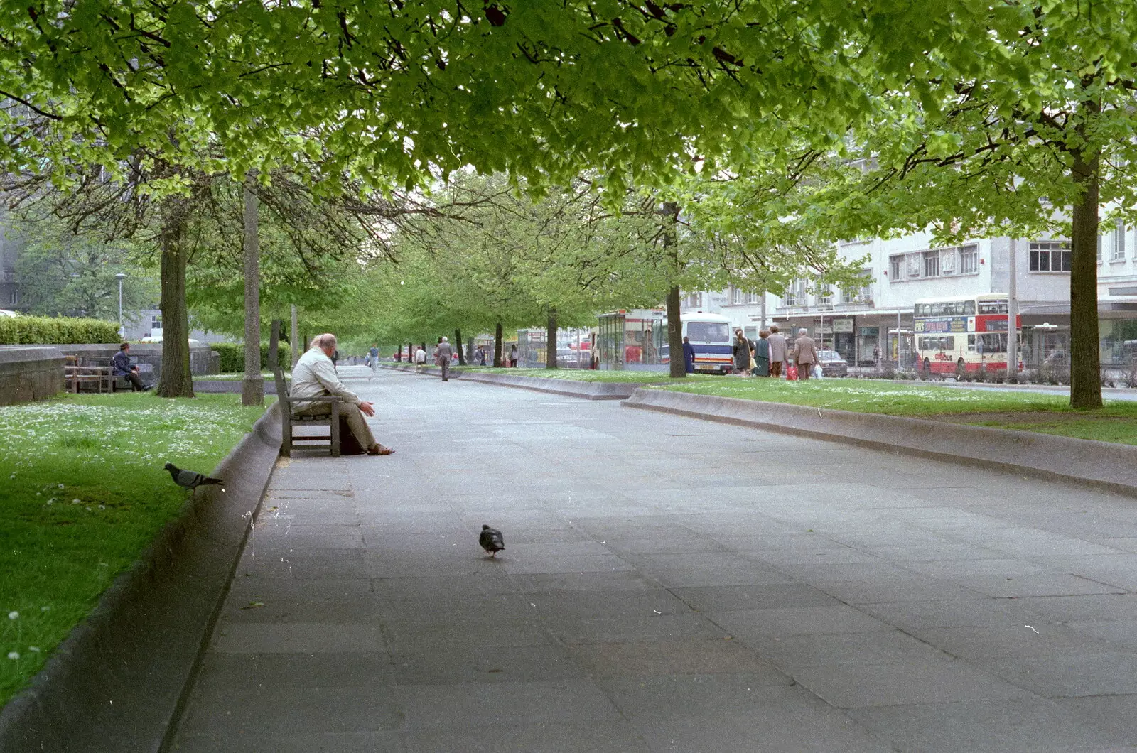 On Royal Parade, from Uni: A Tutorial Miscellany and Cromwell Road, Plymouth Polytechnic, Devon - 2nd June 1986