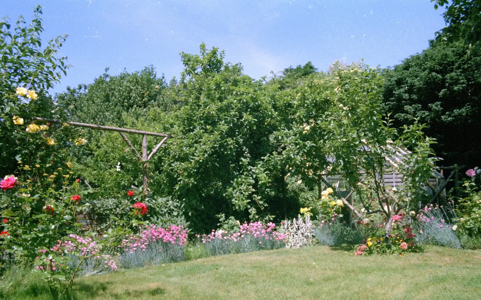 The Ford Cottage garden is in bloom, from A Ford Cottage Miscellany, Barton on Sea, Hampshire - 7th July 1986