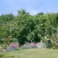 The Ford Cottage garden is in bloom, A Ford Cottage Miscellany, Barton on Sea, Hampshire - 7th July 1986