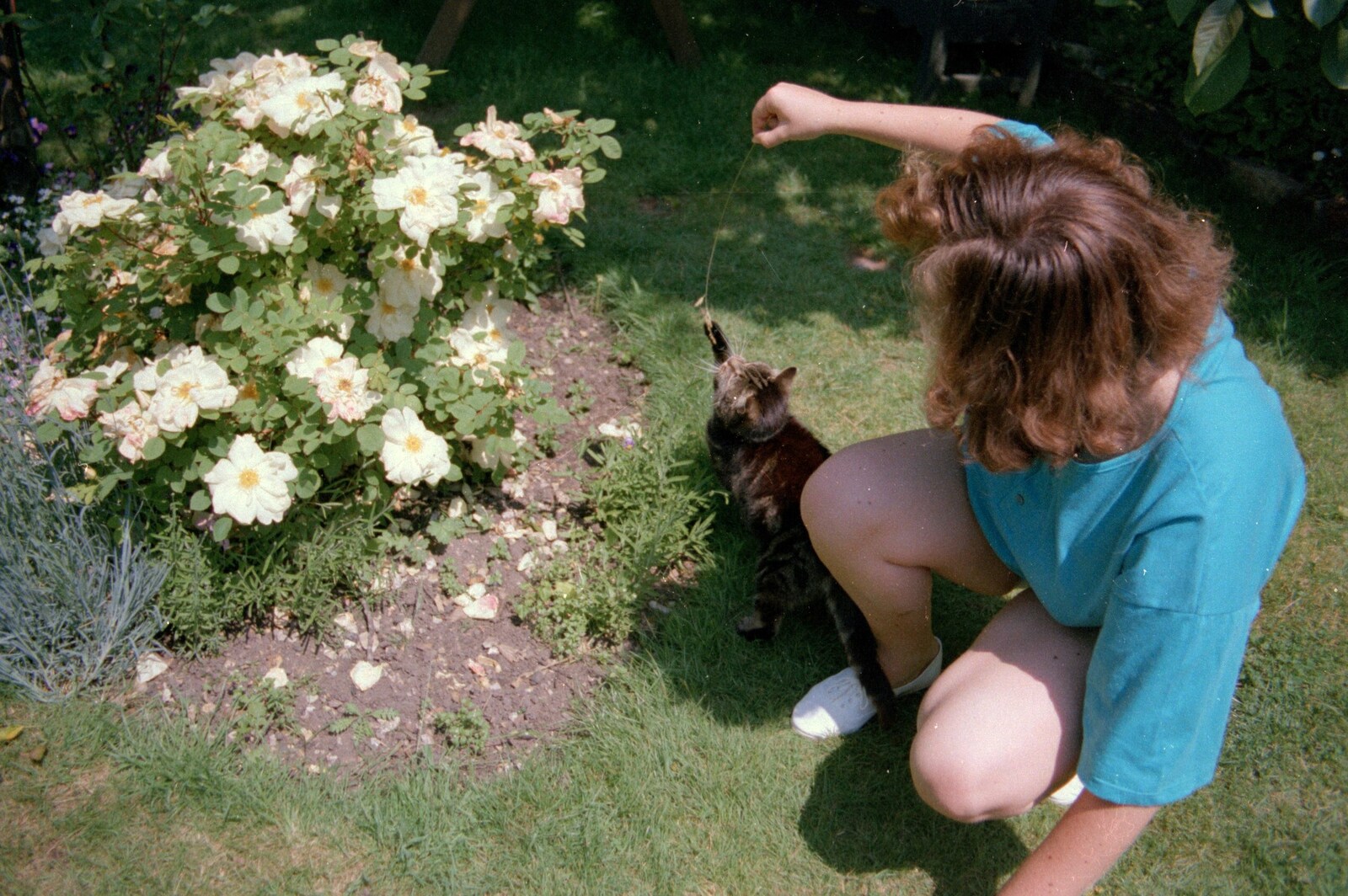 Sis plays with Florence the cat from A Ford Cottage Miscellany, Barton on Sea, Hampshire - 7th July 1986