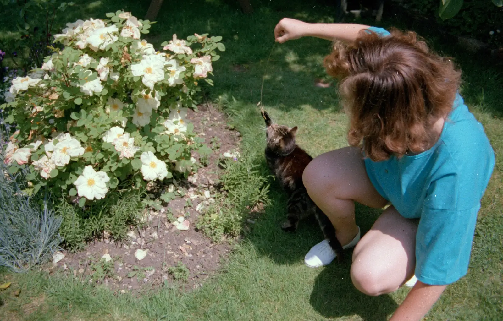 Sis plays with Florence the cat, from A Ford Cottage Miscellany, Barton on Sea, Hampshire - 7th July 1986