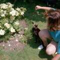 Sis plays with Florence the cat, A Ford Cottage Miscellany, Barton on Sea, Hampshire - 7th July 1986