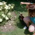 Sis plays with Florence the cat, A Ford Cottage Miscellany, Barton on Sea, Hampshire - 7th July 1986