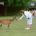 The deer are particularly friendly, A Trip to Groombridge, Kent - 10th July 1986