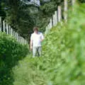 Hamish helps out with pruning the vines, A Vineyard Miscellany, Bransgore and the New Forest - 18th July 1986