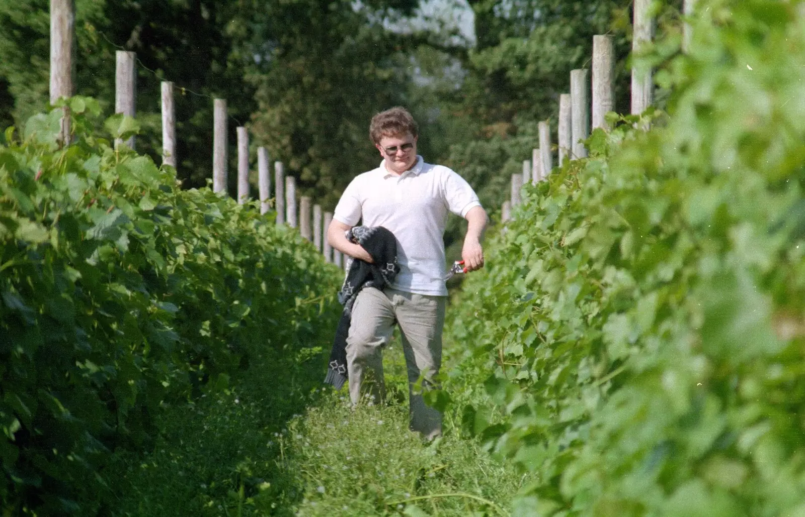 Hamish with some pruners, from A Vineyard Miscellany, Bransgore and the New Forest - 18th July 1986