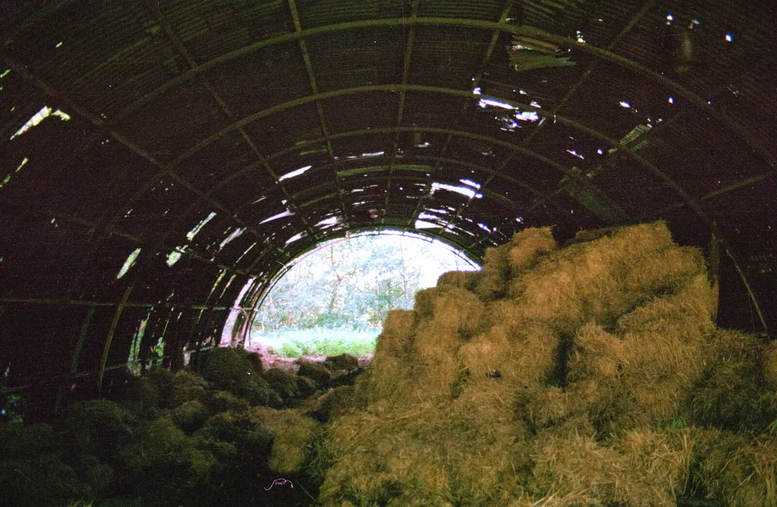 A decrepit Nissen hut near the vineyard, from A Vineyard Miscellany, Bransgore and the New Forest - 18th July 1986