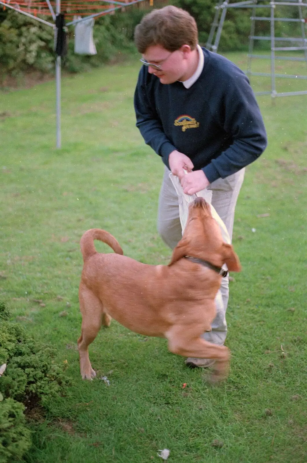 Hamish and Geordie wrestle, from A Vineyard Miscellany, Bransgore and the New Forest - 18th July 1986