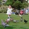 A sprog chases pigeons, A Vineyard Miscellany, Bransgore and the New Forest - 18th July 1986