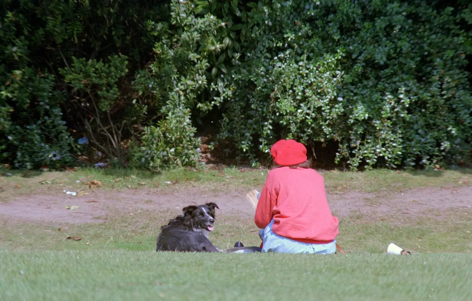 Reading a book, from A Vineyard Miscellany, Bransgore and the New Forest - 18th July 1986