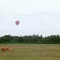 Geordie runs around on Wilverley Plain, A Vineyard Miscellany, Bransgore and the New Forest - 18th July 1986